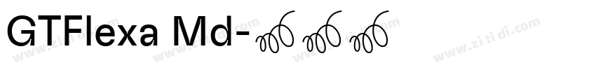 GTFlexa Md字体转换